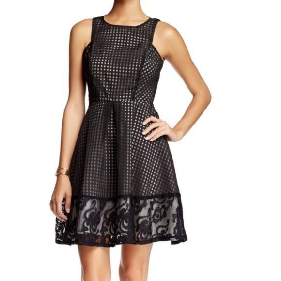 everleigh Dresses & Skirts - Everleigh Black Mesh Gingham Fit & Flare Mini - M - Anthro/Nordstrom